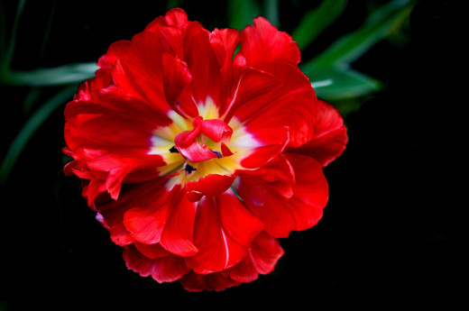 749178 (a): :2560x1697